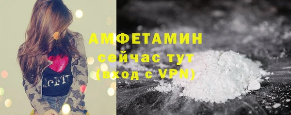 ГАЛЛЮЦИНОГЕННЫЕ ГРИБЫ Алексин