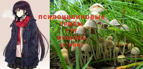 jwh Алзамай