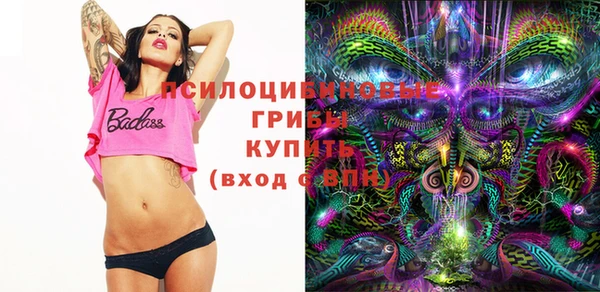 ГАЛЛЮЦИНОГЕННЫЕ ГРИБЫ Алексин