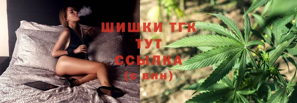 ГАЛЛЮЦИНОГЕННЫЕ ГРИБЫ Алексин
