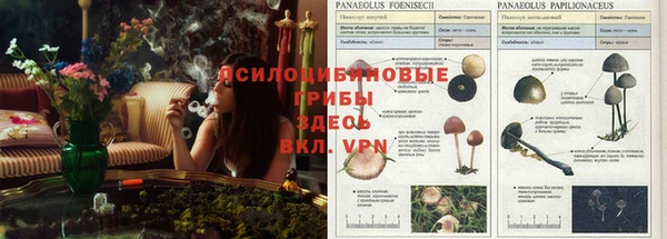jwh Алзамай