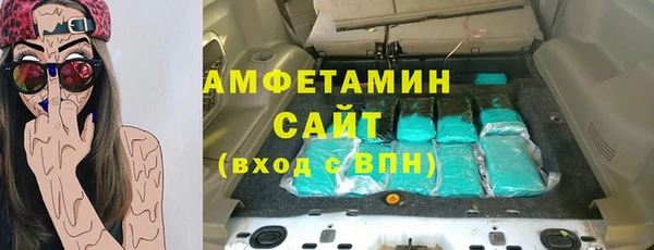 ГАЛЛЮЦИНОГЕННЫЕ ГРИБЫ Осинники